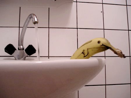 bananas.jpg?w=450&h=338